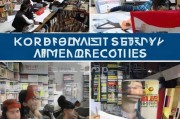韩国留学申请全攻略，从准备到成功入学的每一步